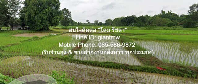 บ้าน ขายบ้าน ค.ส.ล. 1 ชั้น บ.โพนงาม ต.เพ็ญ อ.เพ็ญ จ.อุดรธานี พื้นที่ = 81 Square Wah 0 NGAN 7 ไร่ 2นอน2BATHROOM 1800000