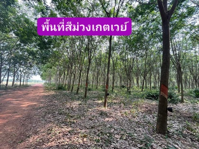 ขายที่ดินพื้นสีม่วงนิตมเกตเวย์ ที่ดินใกล้นิคมเกตุเวย์ ♨️ที่ดินพื้นที่สีม่วง สร้างโรงงานได้