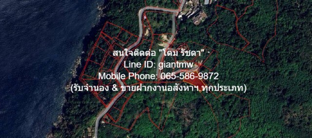 พื้นที่ดิน ที่ดิน ใกล้หาดกมลา อ.กะทู้ จ.ภูเก็ต 800 ตรว. 34000000 thb ใกล้กับ หาดกมลา 4 กม. เดินทางง่าย เป็นที่ดินแปลงเล็