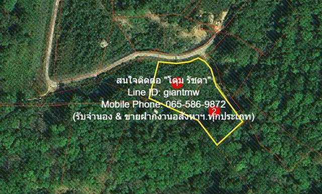 พื้นที่ดิน ที่ดิน ใกล้หาดกมลา อ.กะทู้ จ.ภูเก็ต 800 ตรว. 34000000 thb ใกล้กับ หาดกมลา 4 กม. เดินทางง่าย เป็นที่ดินแปลงเล็