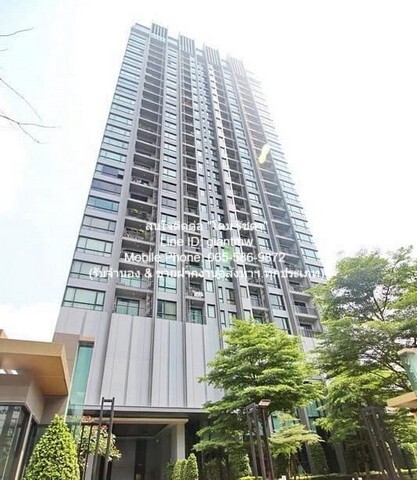 CONDO Q. House Condo Sukhumvit 79 คิว. เฮ้าส์ คอนโด สุขุมวิท 79 3900000 thb 31 ตร.-ม. ทำเลดี กรุงเทพ