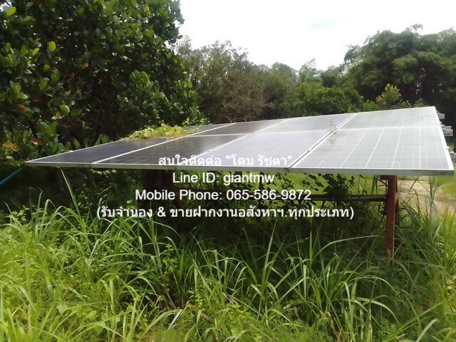 พื้นที่ดิน ขายที่ดินสวนผลไม้ปลอดสารพิษ (Organic) อ.ประจันตคาม จ.ปราจีนบุรี 57-0-90.4 ไร่, ราคา 57 ล้านบาท 57000000 BAHT.