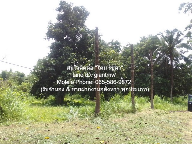 พื้นที่ดิน ขายที่ดินสวนผลไม้ปลอดสารพิษ (Organic) อ.ประจันตคาม จ.ปราจีนบุรี 57-0-90.4 ไร่, ราคา 57 ล้านบาท 57000000 BAHT.