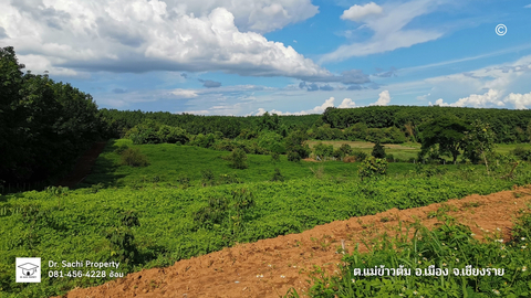 ขายที่ดินสวย 25-2-58 ไร่ บรรยากาศดี ใกล้ ไร่พีบีวัลเล่ย์ จ.เชียงราย