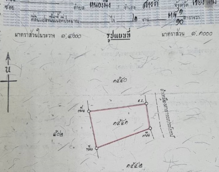 ขายที่ดิน 238ตรว. 7.14ลบ. ถนน น้ำ ไฟฟ้า ติดประตูดีญ่าวาเล่ย์สารภี ถนนต้นยาง ต.หนองผึ้ง อ.สารภี เชียงใหม่