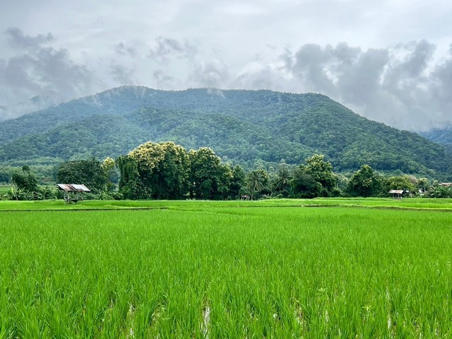 ที่ดิน…วิวดอยภูคา…ใกล้แหล่งชุมชน…ใกล้แหล่งท่องเที่ยว