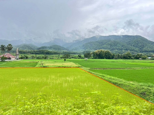 ที่ดิน…วิวดอยภูคา…ใกล้แหล่งชุมชน…ใกล้แหล่งท่องเที่ยว