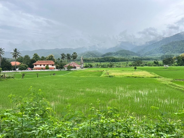 ที่ดิน…วิวดอยภูคา…ใกล้แหล่งชุมชน…ใกล้แหล่งท่องเที่ยว