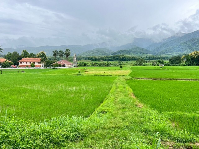 ที่ดิน…วิวดอยภูคา…ใกล้แหล่งชุมชน…ใกล้แหล่งท่องเที่ยว