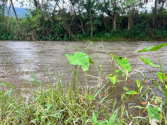 ที่ดินริมแม่น้ำ….วิวดอยภูคา…ใกล้แหล่งท่องเที่ยว…อ.ปัว