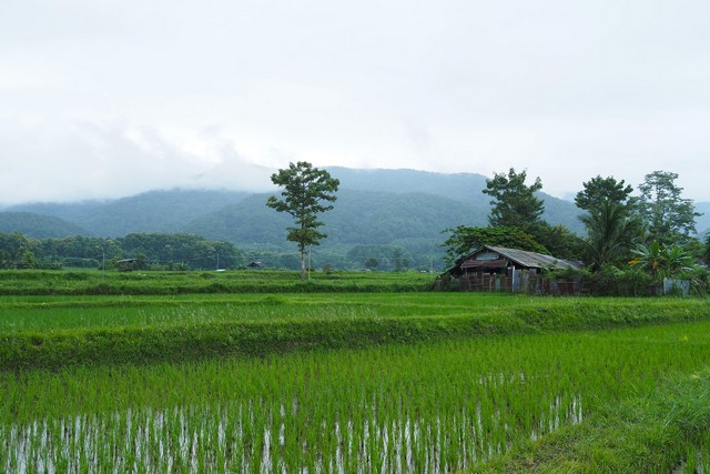 ที่ดินแปลงสวย…วิวดอยภูคา…ใกล้แหล่งท่องเที่ยวชื่อดัง …อ.ปัว