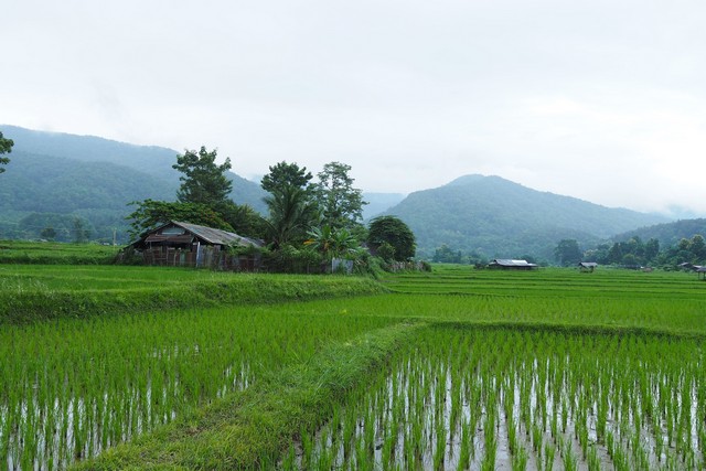 ที่ดินแปลงสวย…วิวดอยภูคา…ใกล้แหล่งท่องเที่ยวชื่อดัง …อ.ปัว