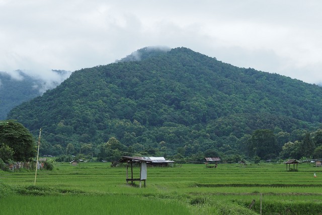 ที่ดินแปลงสวย…วิวดอยภูคา…ใกล้แหล่งท่องเที่ยวชื่อดัง …อ.ปัว