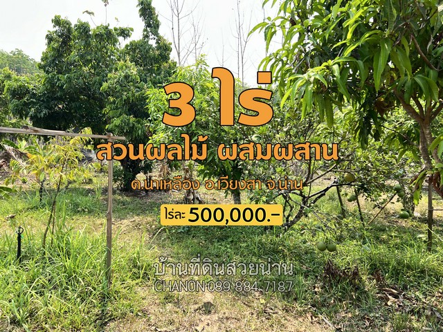 ขายที่ดินสวนผลไม้….ติดห้วย…ได้บรรยากาศชนบท เงียบสงบและปลอดภัย