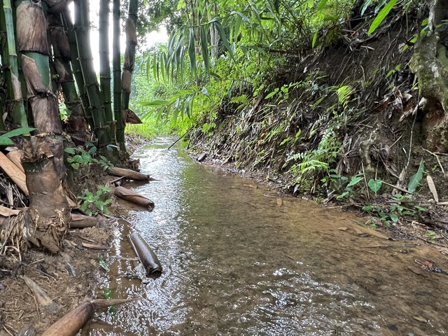 ที่ดินวิวสวยมาก….ทางขึ้นดอยภูคา….ติดแหล่งท่องเที่ยวชื่อดัง อ.ปัว