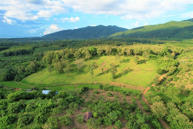 ขายที่ดินแปลงสวยบนดอยสูงสวยงาม ให้บรรยากาศท่ามกลางวิวภูเขาล้อมรอบ ที่ดินติดถนนสาธารณะประโยชน์ ถนนคอนกรีตถึงที่ดิน