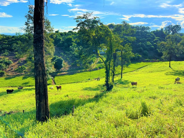 ขายที่ดินแปลงสวยบนดอยสูงสวยงาม ให้บรรยากาศท่ามกลางวิวภูเขาล้อมรอบ ที่ดินติดถนนสาธารณะประโยชน์ ถนนคอนกรีตถึงที่ดิน