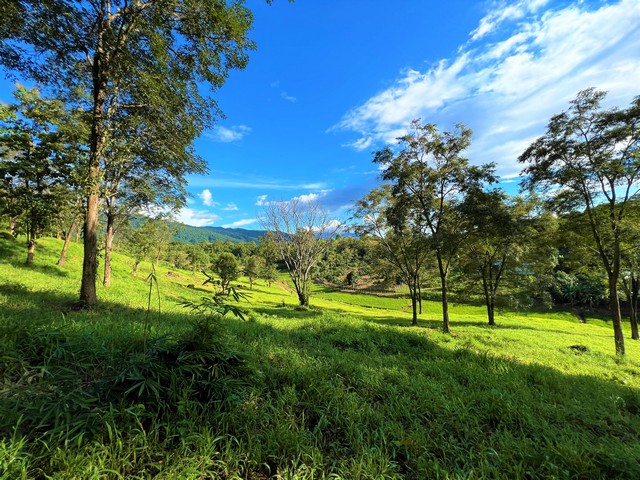 ขายที่ดินแปลงสวยบนดอยสูงสวยงาม ให้บรรยากาศท่ามกลางวิวภูเขาล้อมรอบ ที่ดินติดถนนสาธารณะประโยชน์ ถนนคอนกรีตถึงที่ดิน