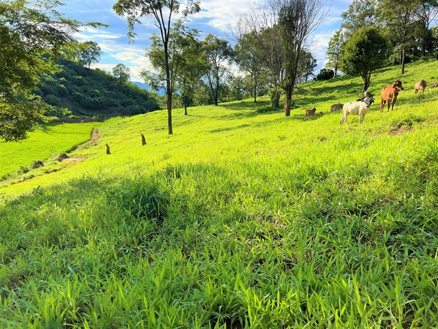 ขายที่ดินแปลงสวยบนดอยสูงสวยงาม ให้บรรยากาศท่ามกลางวิวภูเขาล้อมรอบ ที่ดินติดถนนสาธารณะประโยชน์ ถนนคอนกรีตถึงที่ดิน