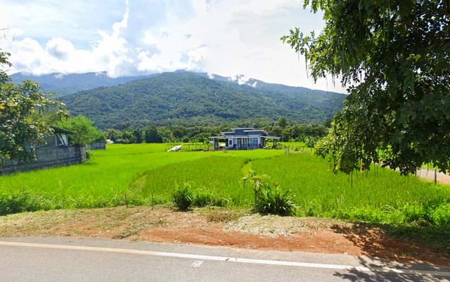 ที่ดินติดถนนใหญ่วิวดอยภูคา เหมาะสำหรับทำร้านคา คาเฟ่ ร้านอาหาร ฯลฯ