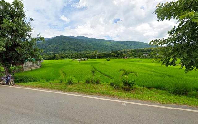 ที่ดินติดถนนใหญ่วิวดอยภูคา เหมาะสำหรับทำร้านคา คาเฟ่ ร้านอาหาร ฯลฯ