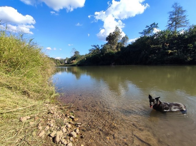 ขาย…บ้านสวนติดแม่น้ำน่าน….ใกล้สนามบินน่านและตัวเมืองน่าน…