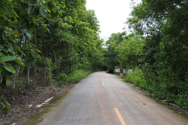 ที่ดินแปลงสวย…บนเนินสูงมองเห็นวิวภูเขาบรรยากาศสุดธรรมชาติ อ.ปัว