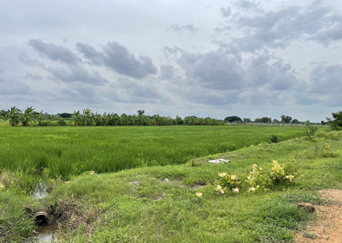 ที่ดิน ซอยประชาร่วมใจ คลองสามวา มีนบุรี กรุงเทพ