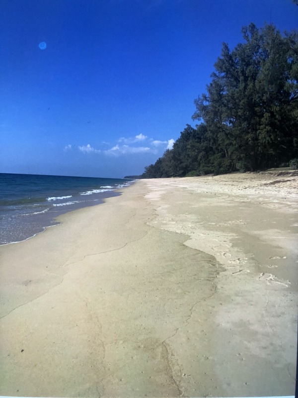 ขายที่ดินบนเกาะลันตาใหญ่ หลังสำนักงานที่ดิน ต.ศาลาด่าน ใกล้หาดพระแอะ