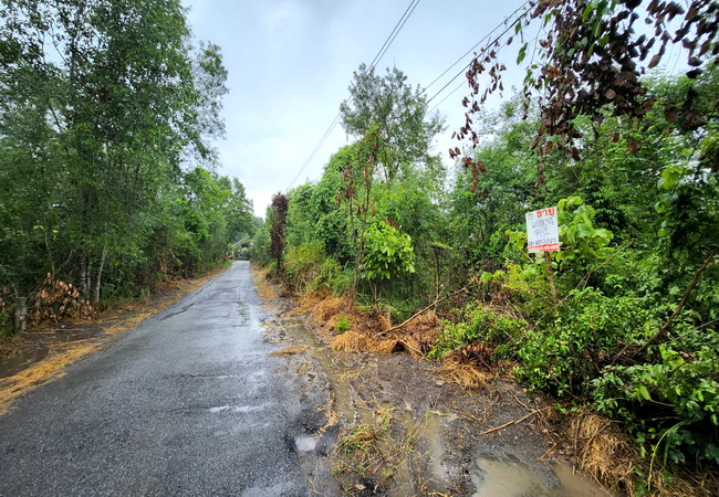 ขายที่ดิน โครงการราชประชา ถนนมิตรภาพ ตําบลปากช่อง อําเภอปากช่อง นครราชสีมา