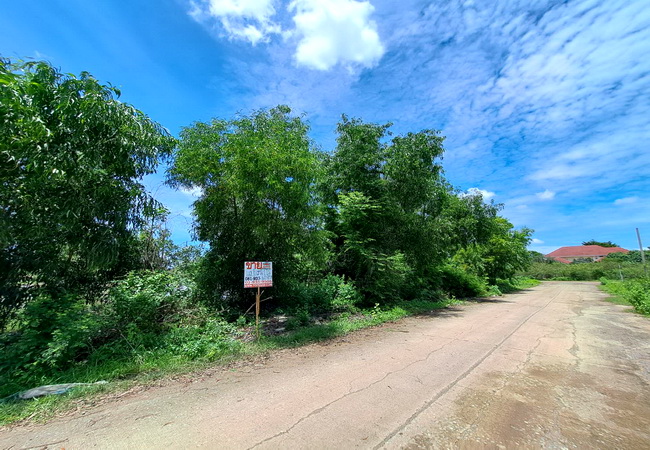 ขายที่ดิน ซอยบงกช 26/1 ถนนรังสิต-นครนายก ตำบลคลองสอง อำเภอคลองหลวง ปทุมธานี