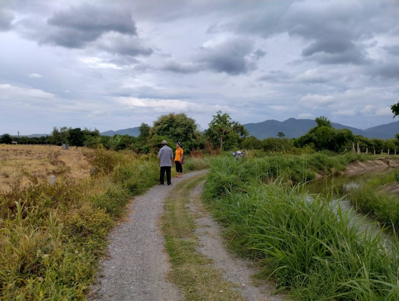 ที่ดินวิวดอย แหล่งธรรมชาติ ติดคลองชลประทาน อ.บ้านโฮ่ง จ.ลำพูน