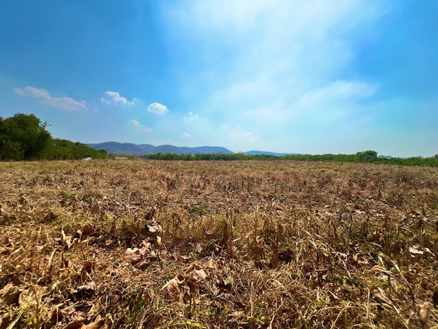 ที่ดิน ที่ดินบ้านโป่งตะขบ อ.วังม่วง จ.สระบุรี 6911 Square Wah 5000000 บ. ใกล้ ห่างจากเขื่อนป่าสักชลสิทธิ์ ประมาณ 15 กม.