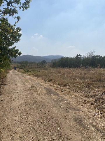 ที่ดิน ที่ดินบ้านโป่งตะขบ อ.วังม่วง จ.สระบุรี 6911 Square Wah 5000000 บ. ใกล้ ห่างจากเขื่อนป่าสักชลสิทธิ์ ประมาณ 15 กม.