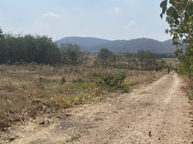 ที่ดิน ที่ดินบ้านโป่งตะขบ อ.วังม่วง จ.สระบุรี 6911 Square Wah 5000000 บ. ใกล้ ห่างจากเขื่อนป่าสักชลสิทธิ์ ประมาณ 15 กม.