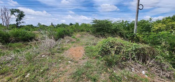 ขายที่ดินทำเลทอง ติดถนนใหญ่ 2 ข้าง ที่อรัญประเทศ สระแก้ว ทางไปชายเเดนไทย-กัมพูชา โทร 0616102289