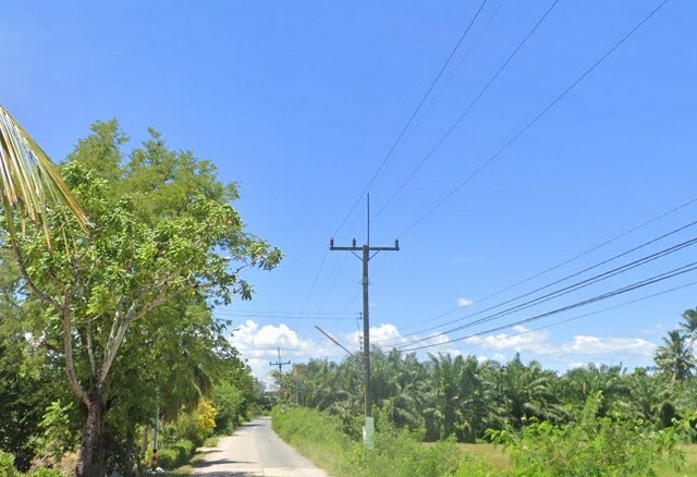 พื้นที่ดิน ที่ดิน พร้อมสวนเกษตร (สวนยาง+มะพร้าว) ต.ชัยบุรี อ.เมืองพัทลุง จ.พัทลุง 7 ไร่ 1 งาน 88 ตารางวา ใกล้ วัดวิหารสู