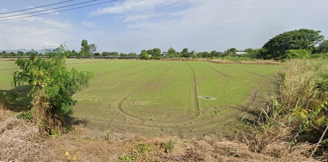 ประกาศขาย พื้นที่ดิน ที่ดินติดถนน และลำคลอง (2 ด้าน) ต.วัดไทร อ.เมืองนครสวรรค์ จ.นครสวรรค์ VERY GOOD