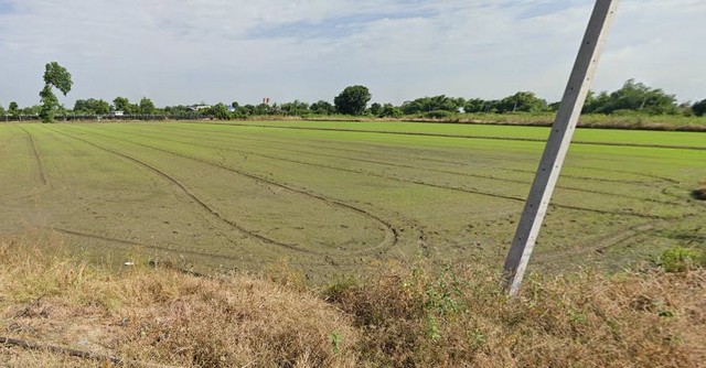 ประกาศขาย พื้นที่ดิน ที่ดินติดถนน และลำคลอง (2 ด้าน) ต.วัดไทร อ.เมืองนครสวรรค์ จ.นครสวรรค์ VERY GOOD