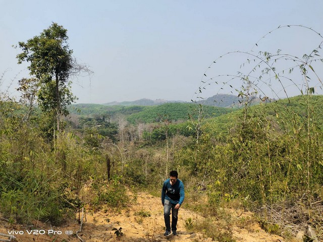 พื้นที่ดิน ที่ดิน ต.พงษ์ อ.สันติสุข จ.น่าน 104 ไร่ 2 งาน 24 ตร.ว. 36500000 บาท ไม่ไกลจาก ห่างถนนทางหลวงหมายเลข 1225 ประม