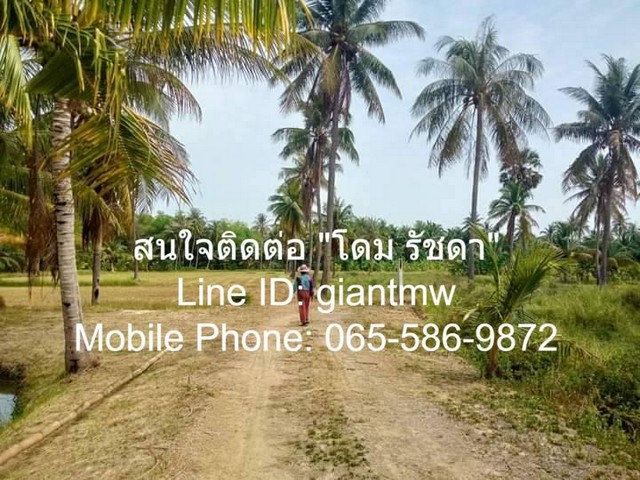 ที่ดิน ที่ดิน ต.สามกระทาย อ.กุยบุรี จ.ประจวบคีรีขันธ์ ขนาดเท่ากับ 5 Rai 2 Ngan 20 sq.wa 1900000 thb ไม่ไกลจาก อยู่ห่างอง