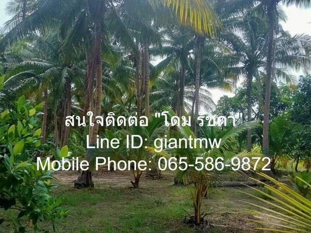 ที่ดิน ที่ดิน ต.สามกระทาย อ.กุยบุรี จ.ประจวบคีรีขันธ์ ขนาดเท่ากับ 5 Rai 2 Ngan 20 sq.wa 1900000 thb ไม่ไกลจาก อยู่ห่างอง