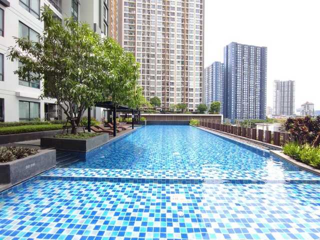 Rent or Sale Artemis Sukhumvit 77 near BTS Onnut, 1 bed pool view