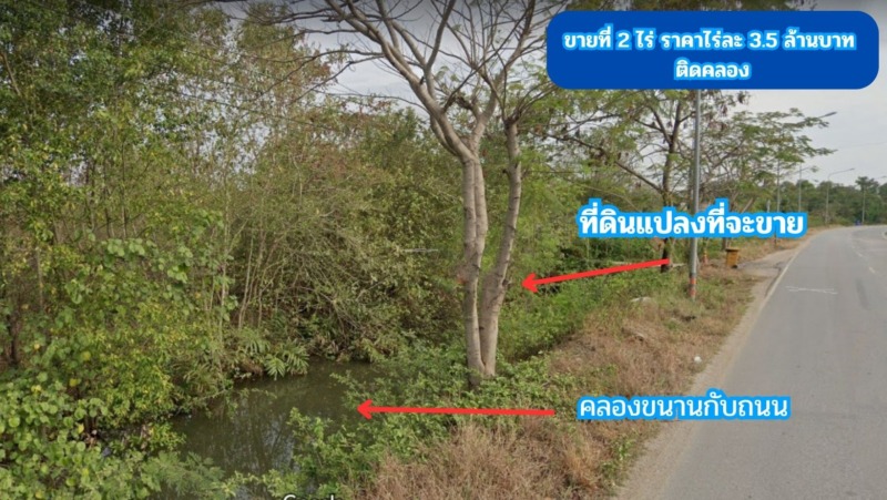 ขายที่ดิน ติดคลอง 2 ไร่ ใกล้ถนนสิริโสธร หรือถนน 314 (บางปะกง-ฉะเชิงเทรา)  ต.สนามจันทร์ อ.บ้านโพธิ์ จ.ฉะเชิงเทรา