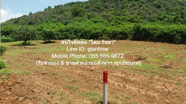 ID : DSL-163.1 ขาย SALE พื้นที่ดิน ขายที่ดินเปล่าปากน้ำปราณ (ห่างชายทะเลปากน้ำปราณ 3 กม.) 335.5 ตร.ว. ใกล้ ห่างจากชายทะเ