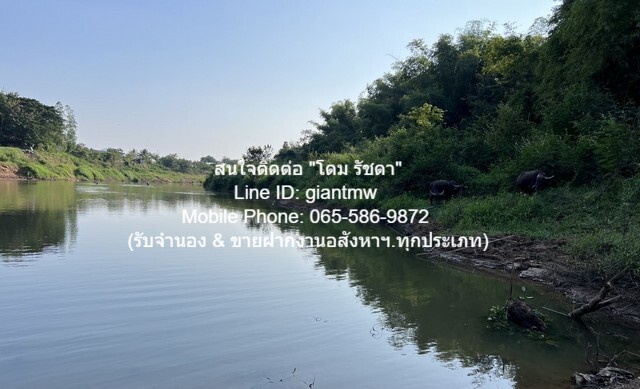 พื้นที่ดิน ขายที่ดินไร่อ้อย เนื้อที่ 45-0-31.9 ไร่ ติดแม่น้ำเลย อ.เมืองเลย จ.เลย, ราคา 18.7 ล้านบาท 18700000 บ. พื้นที่