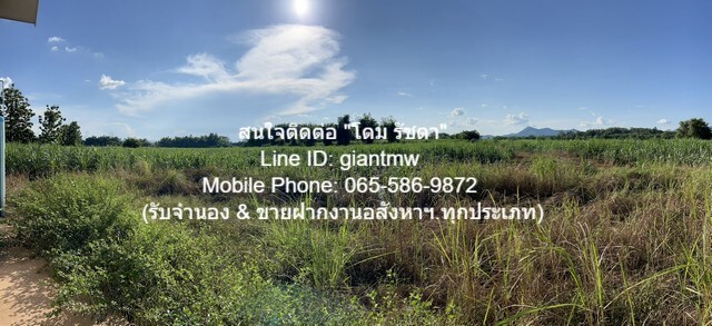 พื้นที่ดิน ขายที่ดินไร่อ้อย เนื้อที่ 45-0-31.9 ไร่ ติดแม่น้ำเลย อ.เมืองเลย จ.เลย, ราคา 18.7 ล้านบาท 18700000 บ. พื้นที่