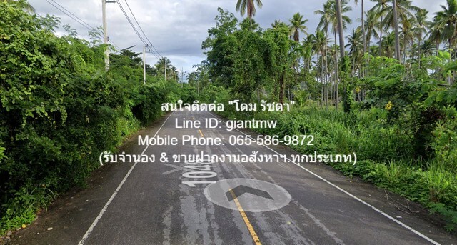 รหัส DHL-009.2 RENT ที่ดิน ืที่ดิน ทับสะแก จ.ประจวบคีรีขันธ์ 16000 ตารางวา 40000 B. ใกล้ อ่างเก็บน้ำบ้านทุ่งตาเค็ท เยี่ย