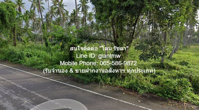 รหัส DHL-009.2 RENT ที่ดิน ืที่ดิน ทับสะแก จ.ประจวบคีรีขันธ์ 16000 ตารางวา 40000 B. ใกล้ อ่างเก็บน้ำบ้านทุ่งตาเค็ท เยี่ย