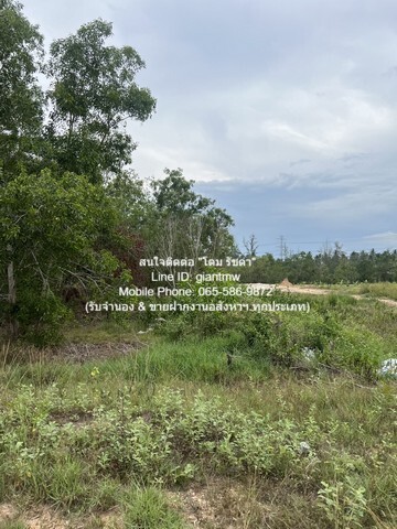 รหัส DHL-009.2 RENT ที่ดิน ืที่ดิน ทับสะแก จ.ประจวบคีรีขันธ์ 16000 ตารางวา 40000 B. ใกล้ อ่างเก็บน้ำบ้านทุ่งตาเค็ท เยี่ย